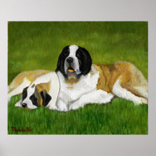 Póster Retrato del perro de St Bernard