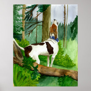 Póster Retrato del perro del Coonhound del caminante de