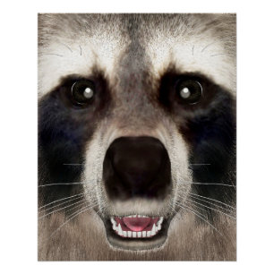Póster Retrato Divertido de Animal Cabeza de Mapache Ador