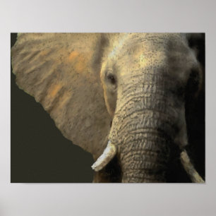 Póster Retrato elefante
