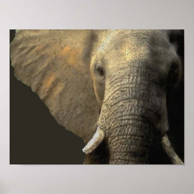Póster Retrato elefante (Frente)