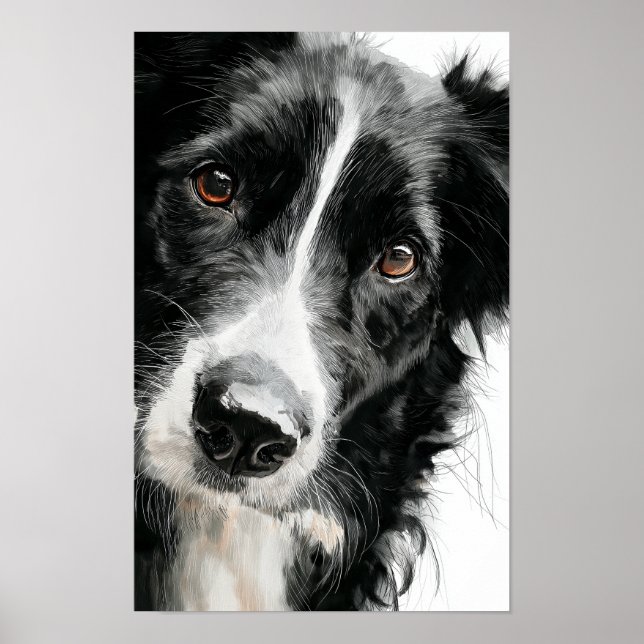Póster retrato en acuarela de border collie (Frente)