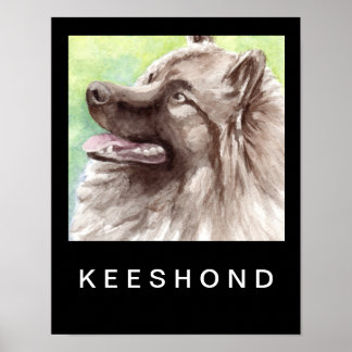Póster Retrato en acuarela de Keeshond