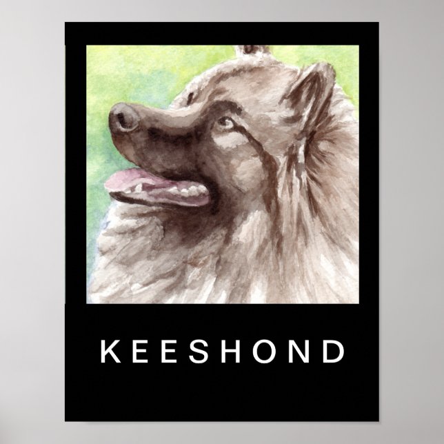 Póster Retrato en acuarela de Keeshond (Frente)