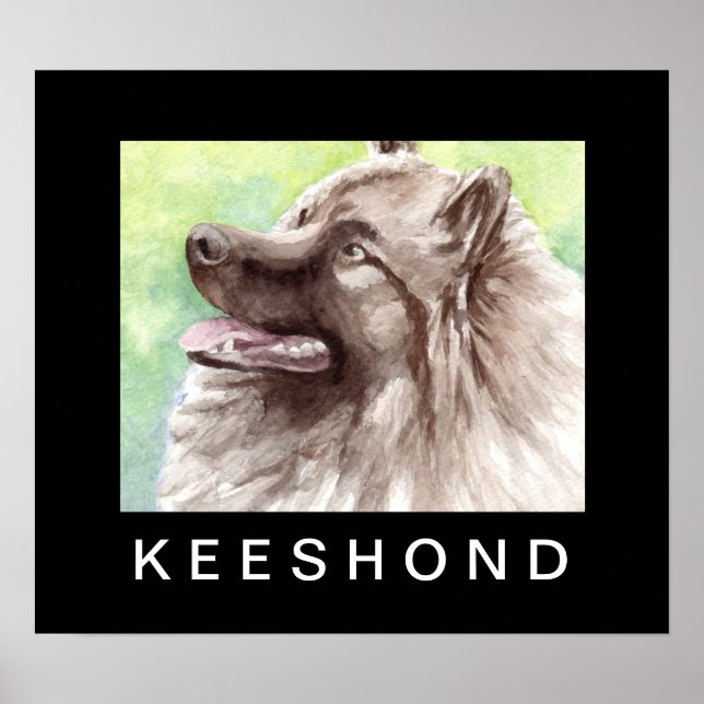 Póster Retrato en acuarela de Keeshond (Frente)