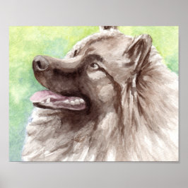 Póster Retrato en acuarela de Keeshond