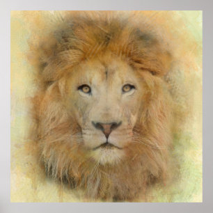 Póster Retrato en acuarela de león africano