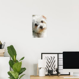 Póster retrato en acuarela de perro maltés