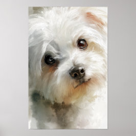 Póster retrato en acuarela de perro maltés