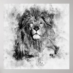 Póster Retrato en acuarela en blanco y negro de león mach