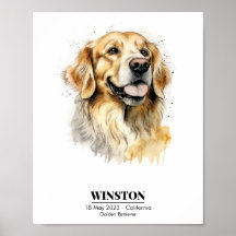 Retrato en Acuarela Personalizado de Golden Retrie