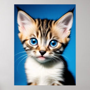 Póster Retrato gatito adorable con hermosos ojos azules