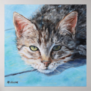 Póster Retrato gris tan tabby de gato