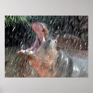 Póster Retrato Hippopótamo de bienvenida