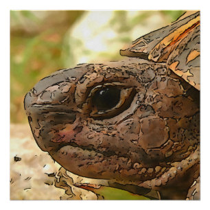 Póster Retrato lateral Cercano De Una Tortuga Turca
