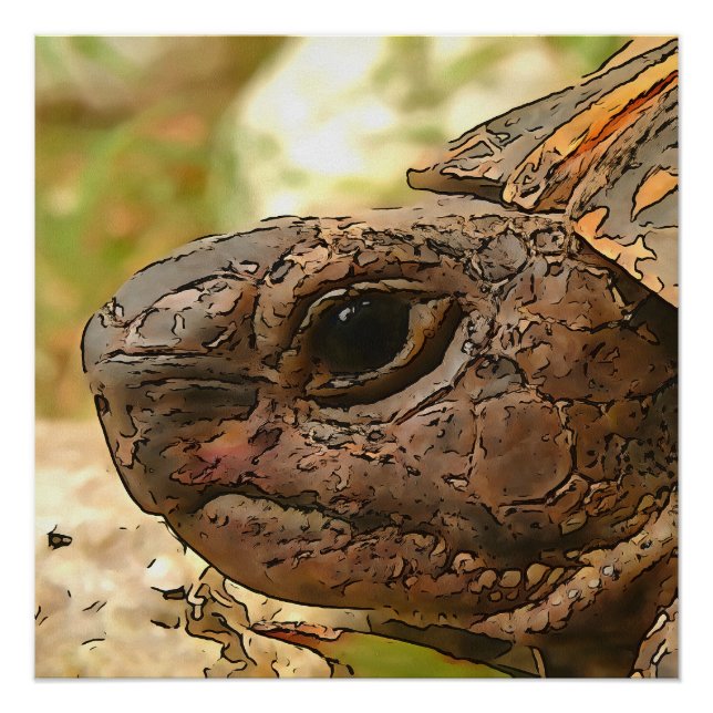 Póster Retrato lateral Cercano De Una Tortuga Turca (Anverso)