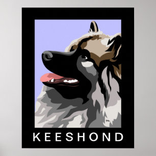 Póster Retrato lateral Keeshond