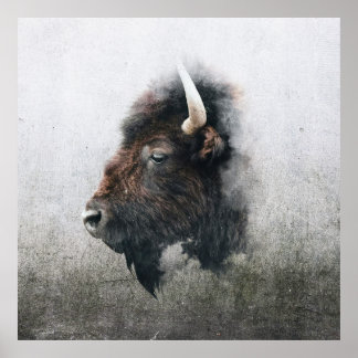 Póster Retrato majestuoso de bisonte