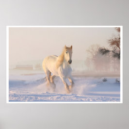 Póster Retrato majestuoso de caballo blanco