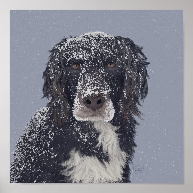 Póster Retrato mascota de mezcla de perros de España (Frente)