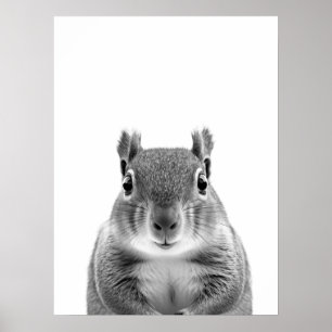Póster Retrato moderno de bosque de ardilla blanco negro