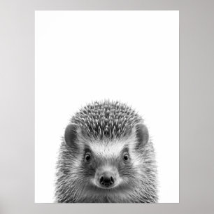Póster Retrato moderno de bosque de erizo negro blanco