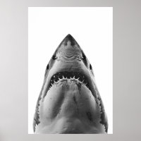 Retrato moderno de gran tiburón blanco