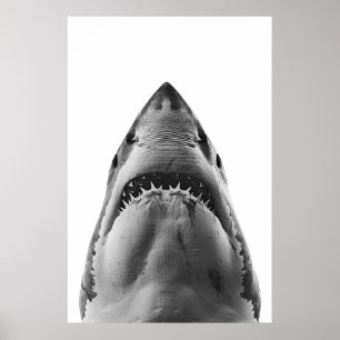 Póster Retrato moderno de gran tiburón blanco