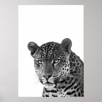 Retrato moderno de jaguar en selva en blanco y neg