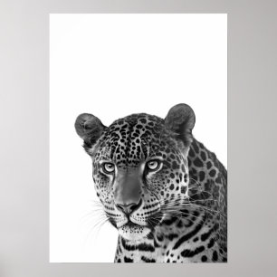 Póster Retrato moderno de jaguar en selva en blanco y neg