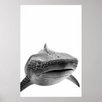 Retrato moderno de tiburón ballena blanco negro