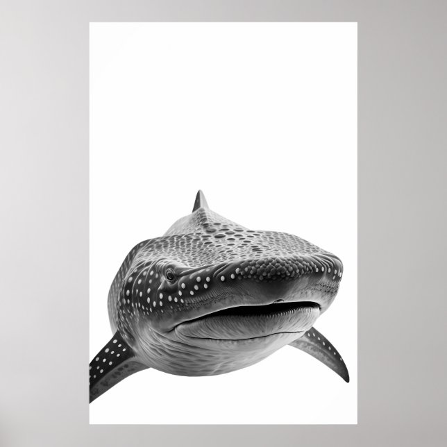 Póster Retrato moderno de tiburón ballena blanco negro (Frente)