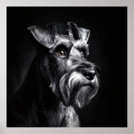Póster Retrato monocromo de Schnauzer