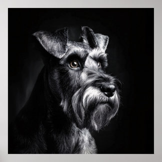 Póster Retrato monocromo de Schnauzer