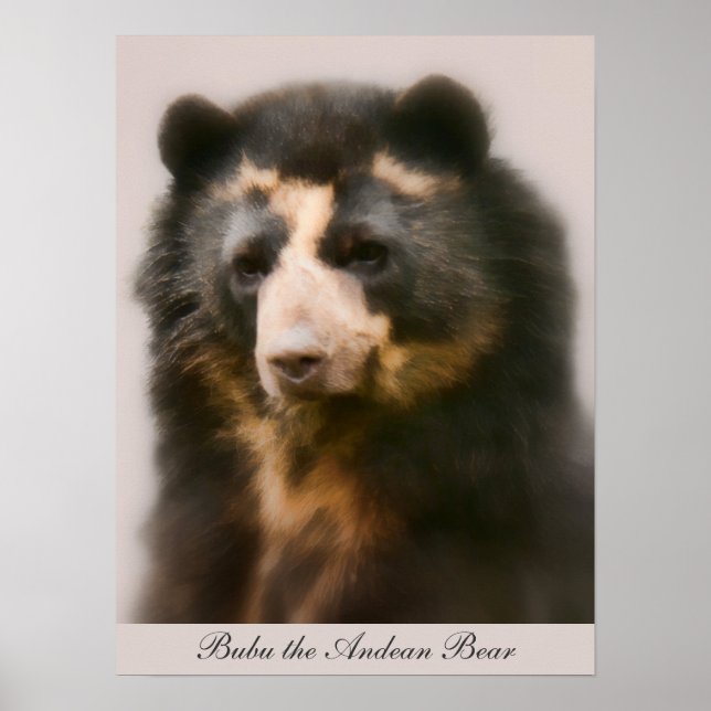 Póster Retrato Noble de Bubu (Frente)