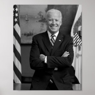 Póster Retrato Oficial del Vicepresidente Joe Biden - 201