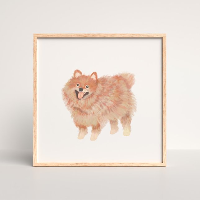 Póster Retrato Pomeraniano Pintado (Subido por el creador)