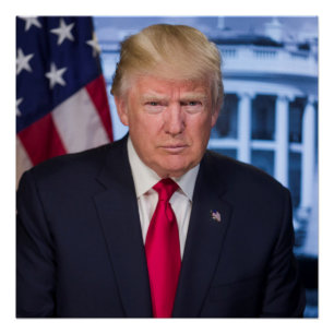 Póster Retrato presidencial oficial de Donald Trump