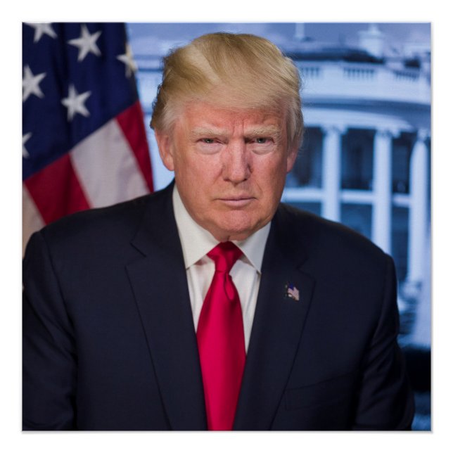 Póster Retrato presidencial oficial de Donald Trump (Anverso)