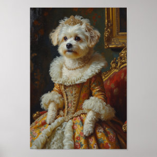 Póster Retrato Real de Coton de Tulear