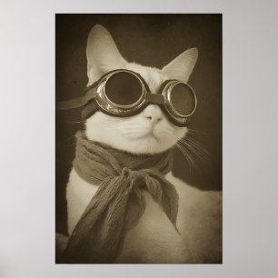 Póster Retrato sepia de gato aviador steampunk