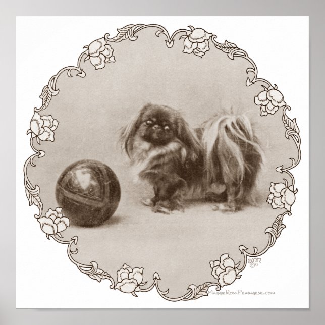 Póster Retrato Sepia de Pekinés (Frente)