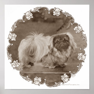 Póster Retrato Sepia de Pekinés
