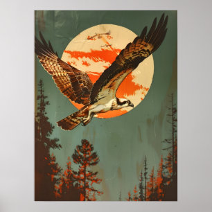 Póster Retrato vintage de Osprey