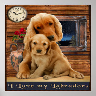 Póster Retriever de Labrador