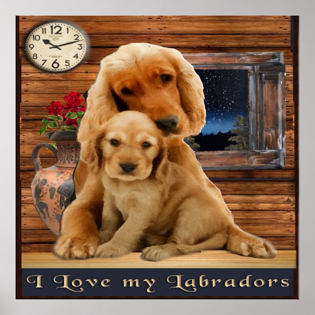 Póster Retriever de Labrador (Frente)