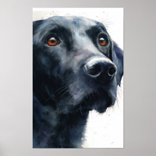 Póster retriever labrador negro acuarela