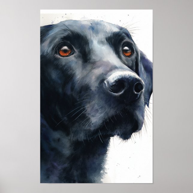 Póster retriever labrador negro acuarela (Frente)