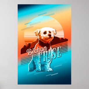 Póster Retro Gráfico Bichon Frise Multi-Color ID754