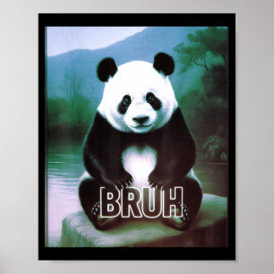 Póster Retro Vintage Divertido Bruh Panda Jerga Meme Anim